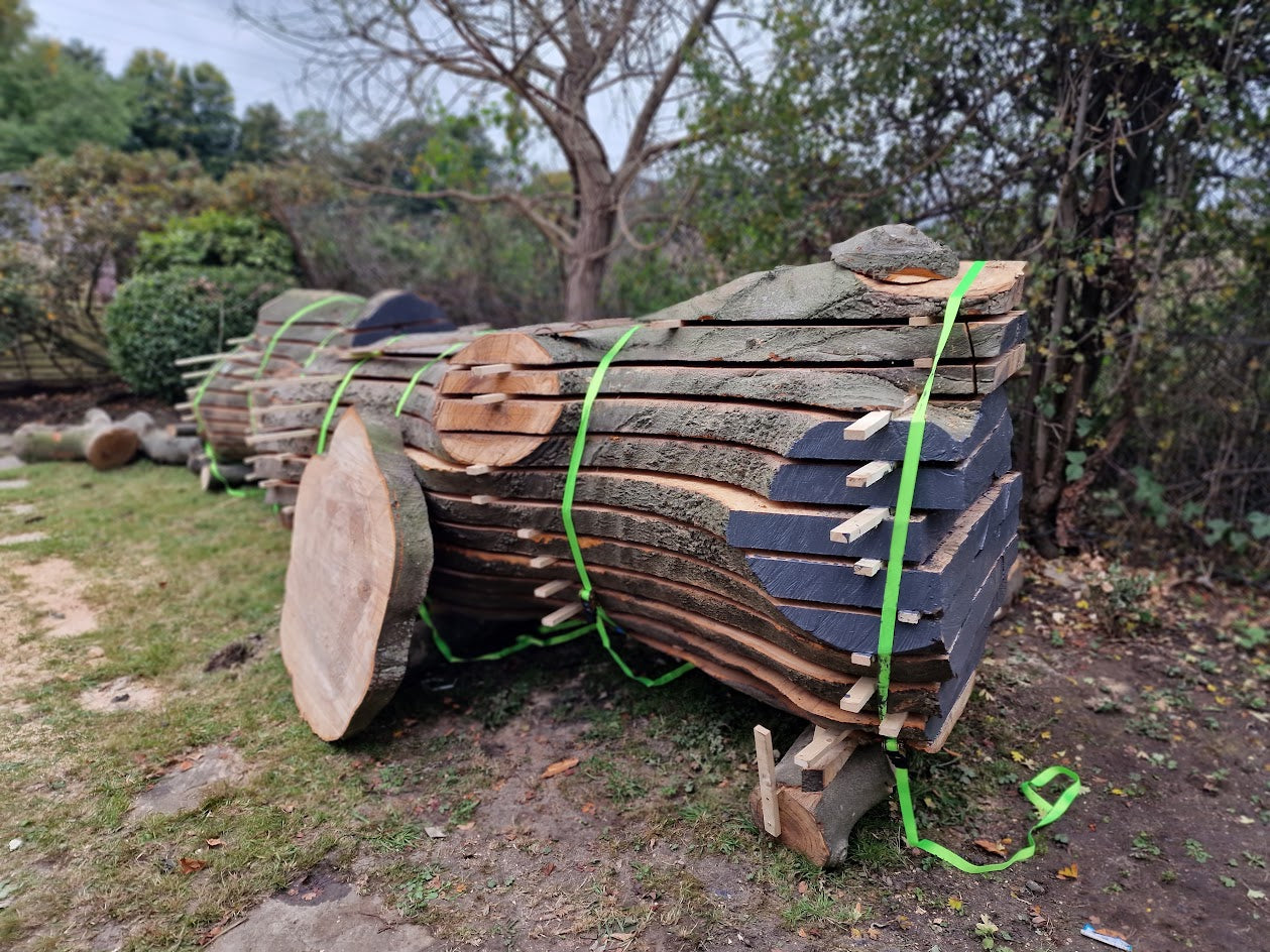 At Live Edge Creations, sustainability is at the core of our practice. Join us in sourcing high-quality Beech Logs and wood slabs, all in alignment with our commitment to eco-friendly and sustainable practices.