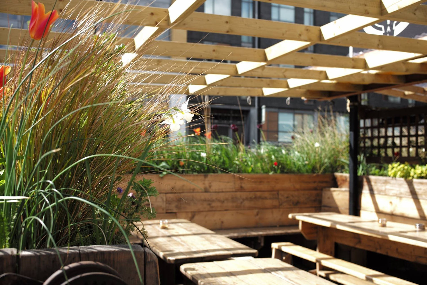 Introducing Live Edge Installations by Live Edge Creations: Unveiling Interior and Exterior Design Services at Curio Cabal Coffee Shop in high quality pine. Explore Unparalleled Wooden Decor, Artisanal Handcrafted and Custom Creations, all Sustainably Sourced, and Embracing an Organic Rustic Aesthetic.