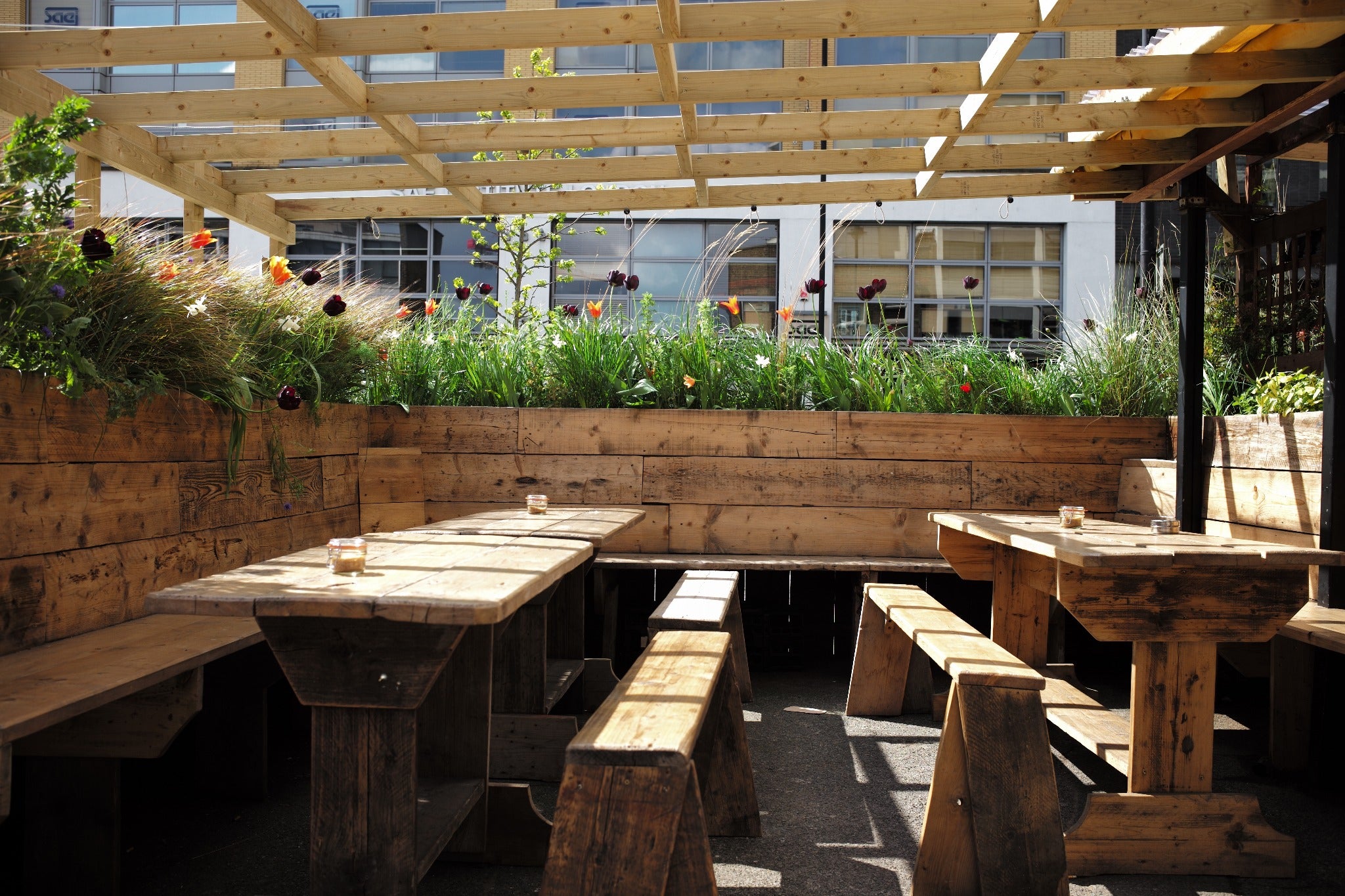 Discover Outdoor Dining Oasis and Social Haven: Live Edge Installations by Live Edge Creations. Revealing Interior and Exterior Design Excellence at Curio Cabal Coffee Shop, featuring High-Quality Pine. Immerse Yourself in Unique Wooden Decor, Expertly Handcrafted Custom Creations, all Responsibly Sourced, and Embracing an Organic Rustic Mood.